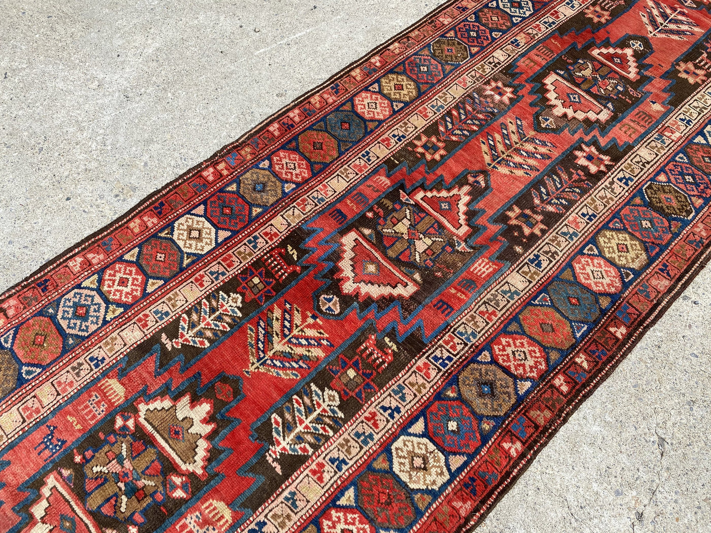 Caucasian Runner  10.8 × 3.1 ft